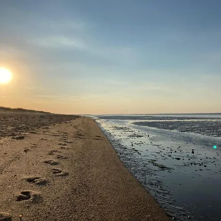 49 4 S Waterkant Schillig