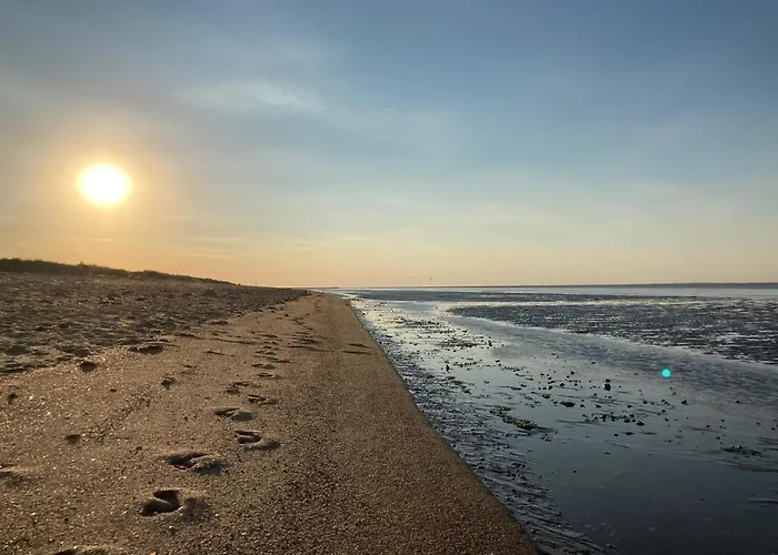 49 4 S Waterkant Schillig